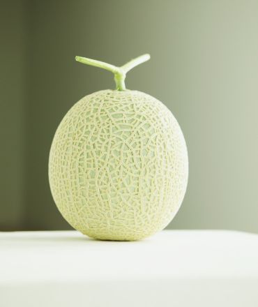 京久農產-網紋洋香瓜-988-home-crops-01-img-0001